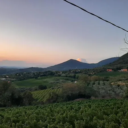 Guest house Di Cornoleda